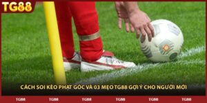 Cách Soi Kèo Phạt Góc Và 03 Mẹo TG88 Gợi Ý Cho Người Mới