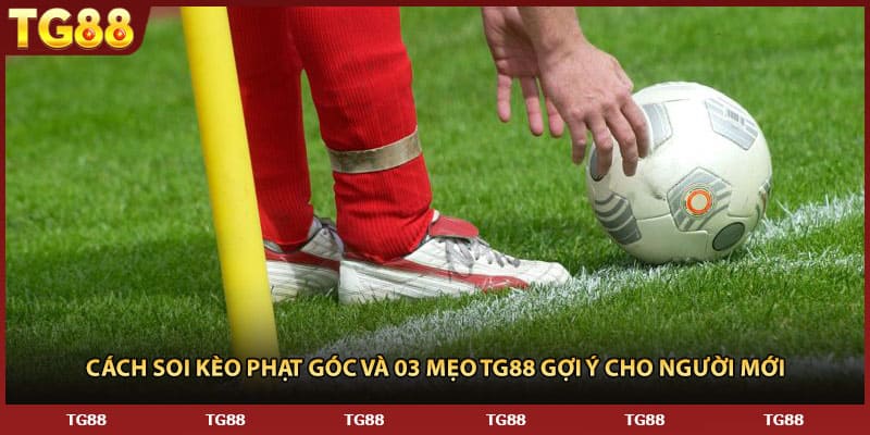 Cách Soi Kèo Phạt Góc Và 03 Mẹo TG88 Gợi Ý Cho Người Mới