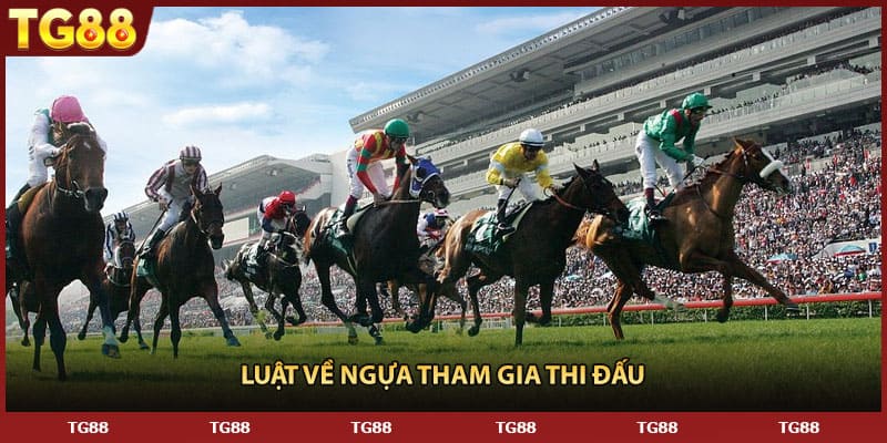Luật về ngựa tham gia thi đấu