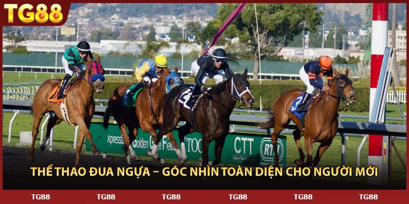 Thể Thao Đua Ngựa – Góc Nhìn Toàn Diện Cho Người Mới