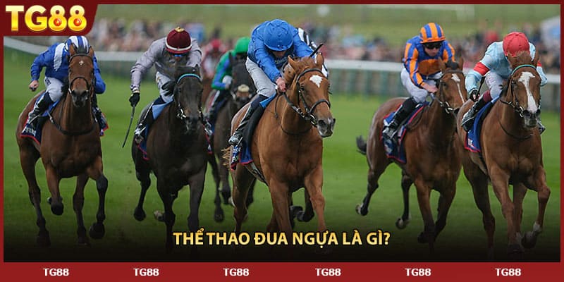 Thể thao đua ngựa là gì?