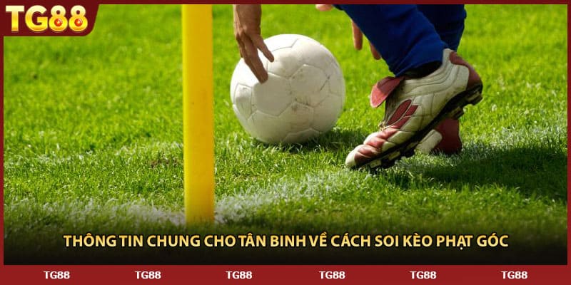 Thông tin chung cho tân binh về cách soi kèo phạt góc